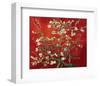 Almond Branches in Red-null-Framed Premium Giclee Print