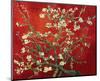 Almond Branches in Red-null-Mounted Premium Giclee Print