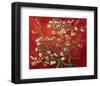 Almond Branches in Red-null-Framed Art Print