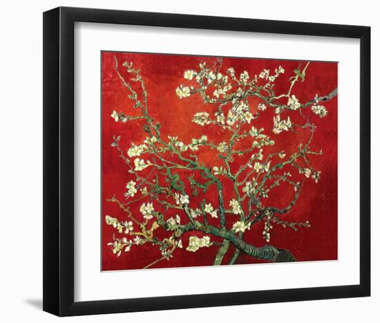 Almond Branches in Red-null-Framed Art Print