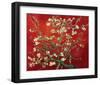 Almond Branches in Red-null-Framed Art Print