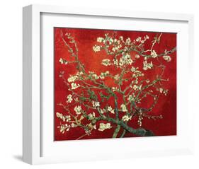 Almond Branches in Red-null-Framed Art Print