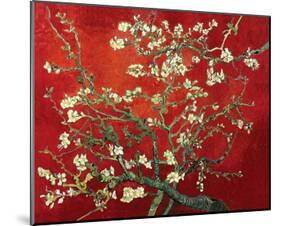 Almond Branches in Red-null-Mounted Art Print