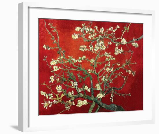 Almond Branches in Red-null-Framed Art Print