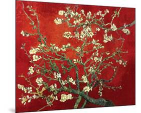 Almond Branches in Red-null-Mounted Art Print