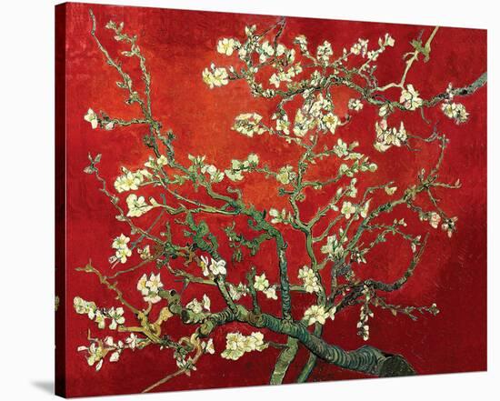 Almond Branches in Red-null-Stretched Canvas