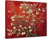 Almond Branches in Red-null-Stretched Canvas