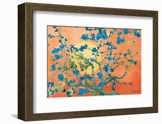 Almond Branches in Sunshine-null-Framed Art Print