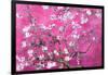 Almond Branches Pink-null-Framed Poster