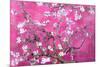 Almond Branches Pink-null-Mounted Poster