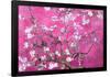 Almond Branches Pink-null-Framed Poster