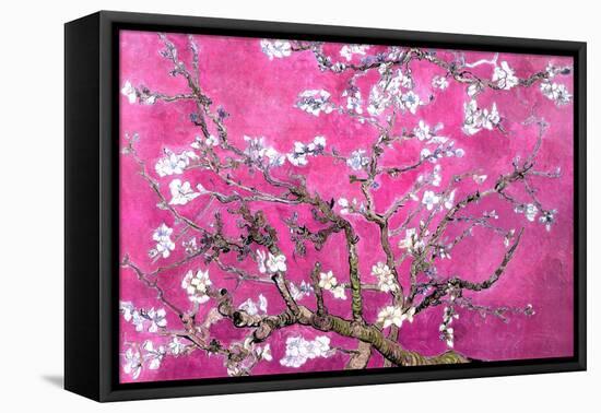 Almond Branches Pink-null-Framed Stretched Canvas