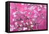 Almond Branches Pink-null-Framed Stretched Canvas