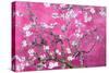 Almond Branches Pink-null-Stretched Canvas