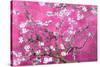 Almond Branches Pink-null-Stretched Canvas