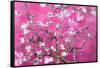 Almond Branches Pink-null-Framed Stretched Canvas