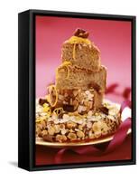 Almond Gateau in Festive Arrangement-Luzia Ellert-Framed Stretched Canvas