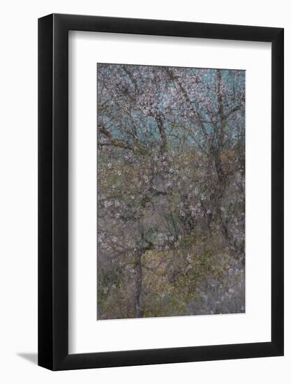 Almond Grove I-Doug Chinnery-Framed Photographic Print