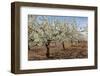 Almond Orchard in Blossom, Puglia, Italy, Europe-Martin-Framed Photographic Print