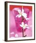 Almond Tree Flower-Amelie Vuillon-Framed Art Print