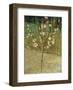 Almond Tree in Blossom, 1888-Vincent van Gogh-Framed Art Print