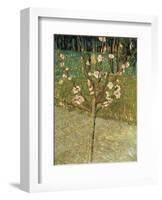Almond Tree in Blossom, 1888-Vincent van Gogh-Framed Art Print