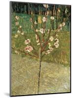 Almond Tree in Blossom, 1888-Vincent van Gogh-Mounted Art Print