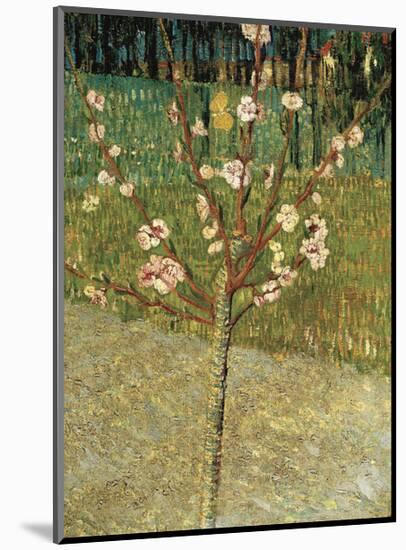 Almond Tree in Blossom, 1888-Vincent van Gogh-Mounted Art Print