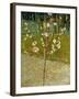 Almond Tree in Blossom, 1888-Vincent van Gogh-Framed Giclee Print