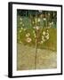 Almond Tree in Blossom, 1888-Vincent van Gogh-Framed Giclee Print