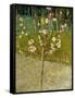 Almond Tree in Blossom, 1888-Vincent van Gogh-Framed Stretched Canvas