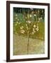 Almond Tree in Blossom, 1888-Vincent van Gogh-Framed Giclee Print