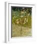 Almond Tree in Blossom, 1888-Vincent van Gogh-Framed Giclee Print