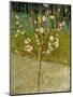 Almond Tree in Blossom, 1888-Vincent van Gogh-Mounted Giclee Print