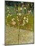 Almond Tree in Blossom, 1888-Vincent van Gogh-Mounted Giclee Print