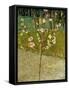 Almond Tree in Blossom, 1888-Vincent van Gogh-Framed Stretched Canvas