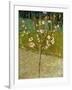 Almond Tree in Blossom, 1888-Vincent van Gogh-Framed Giclee Print