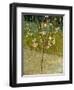 Almond Tree in Blossom, 1888-Vincent van Gogh-Framed Giclee Print