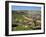 Almond Tree on Small Plot of Land, Near Mount Hebron, Israel, Middle East-Simanor Eitan-Framed Photographic Print