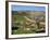 Almond Tree on Small Plot of Land, Near Mount Hebron, Israel, Middle East-Simanor Eitan-Framed Photographic Print