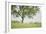 Almond Tree (Prunus Dulcis) Under The Rain. Lleida Province. Catalonia. Spain-Oscar Dominguez-Framed Photographic Print