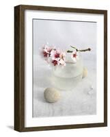 Almond Tree-Amelie Vuillon-Framed Art Print