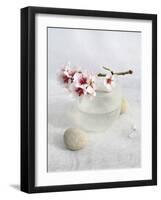 Almond Tree-Amelie Vuillon-Framed Art Print