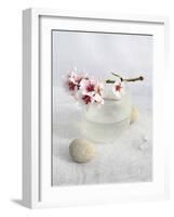 Almond Tree-Amelie Vuillon-Framed Art Print