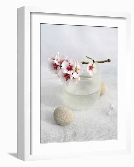 Almond Tree-Amelie Vuillon-Framed Art Print