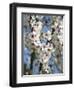 Almond Trees Blooming with Flowers. Loule, Algarve, Portugal-Mauricio Abreu-Framed Photographic Print