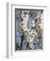 Almond Trees Blooming with Flowers. Loule, Algarve, Portugal-Mauricio Abreu-Framed Photographic Print