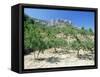 Almond Trees in the Sierra De Aitana, Alicante Area, Valencia, Spain-Ruth Tomlinson-Framed Stretched Canvas