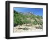 Almond Trees in the Sierra De Aitana, Alicante Area, Valencia, Spain-Ruth Tomlinson-Framed Photographic Print