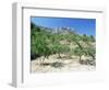 Almond Trees in the Sierra De Aitana, Alicante Area, Valencia, Spain-Ruth Tomlinson-Framed Photographic Print